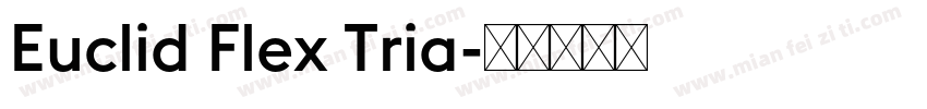 Euclid Flex Tria字体转换